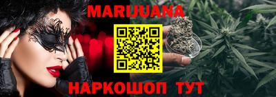 кокс Кингисепп